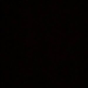 Meet your Posher, Lanie